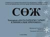 СРС: Балалардағы сарып. Клиникалық протокол