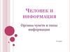 Человек и информация. Органы чувств и типы информации