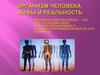 Организм человека. Мифы и реальность