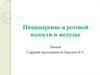 Пищеварение в ротовой полости и желудке