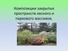 Композиции закрытых пространств лесного и паркового массивов. Объемно-пространственная структура (ОПС)