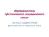 Природные зоны субтропического географического пояса