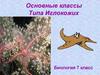 Основные классы Типа Иглокожих. Биология 7 класс