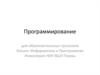 Программирование для образовательных программ Бизнес-Информатика и Программная Инженерия