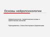 Нейропсихология: теоретические основы и практическое значение