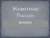 Животные России. Мишки