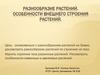 Разнообразие растений. Особенности внешнего строения растений