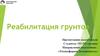 Реабилитация грунтов