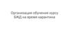 Организация обучения курсу БЖД на время карантина