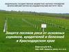 Защита посевов риса от основных сорняков, вредителей и болезней в Краснодарском крае