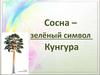 Сосна – зелёный символ Кунгура
