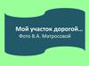 Мой участок дорогой