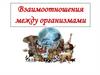 Взаимоотношения между организмами в природе