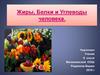 Жиры, Белки и Углеводы человека