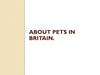 О домашних животных в Британии