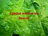 Среды жизни на Земле