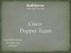 Cisco: Puppet Team. SoftServe