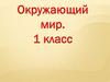 Труд людей весной. 1 класс