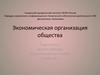 Экономическая организация общества
