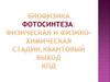 Биофизика фотосинтеза: физическая и физико-химическая стадии, квантовый выход КПД