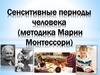 Сенситивные периоды человека (методика Марии Монтессори)