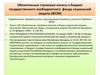 Обязательные страховые взносы в бюджет государственного внебюджетного фонда социальной защиты (ФСЗН)