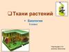Ткани растений