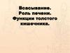 Всасывание. Роль печени. Функции толстого кишечника