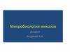 Микробиология микозов