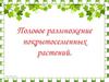 Половое размножение покрытосеменных растений