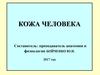 Кожа человека
