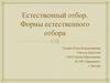 Естественный отбор. Формы естественного отбора