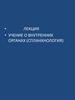 Учение о внутренних органах (спланхнология). Лекция 6