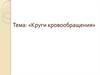 Круги кровообращения