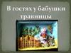 В гостях у бабушки травницы