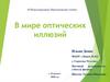 В мире оптических иллюзий