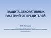 Защита декоративных растений от вредителей
