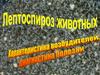 Краткие сведения о лептоспирозе. Лекция №5