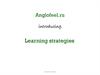 Learning strategies