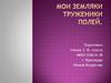 Мои земляки - труженики полей