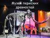 Музей пермских древностей