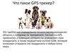 Что такое GPS-трекер