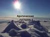 Арктические пустыни