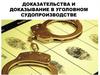 Доказательства и доказывание в уголовном судопроизводстве
