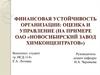 Финансовая устойчивость организации: оценка и управление (на примере ОАО «Новосибирский завод химконцентратов»)