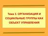 Организация и социальные группы как объект управления