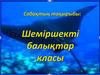 Шеміршекті балықтар класы