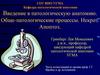 Введение в патологическую анатомию. Обще-патологические процессы. Некроз. Апоптоз