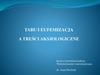 Tabu i eufemizacja a treści aksjologiczne