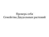Семейства Двудольных растений. Проверь себя